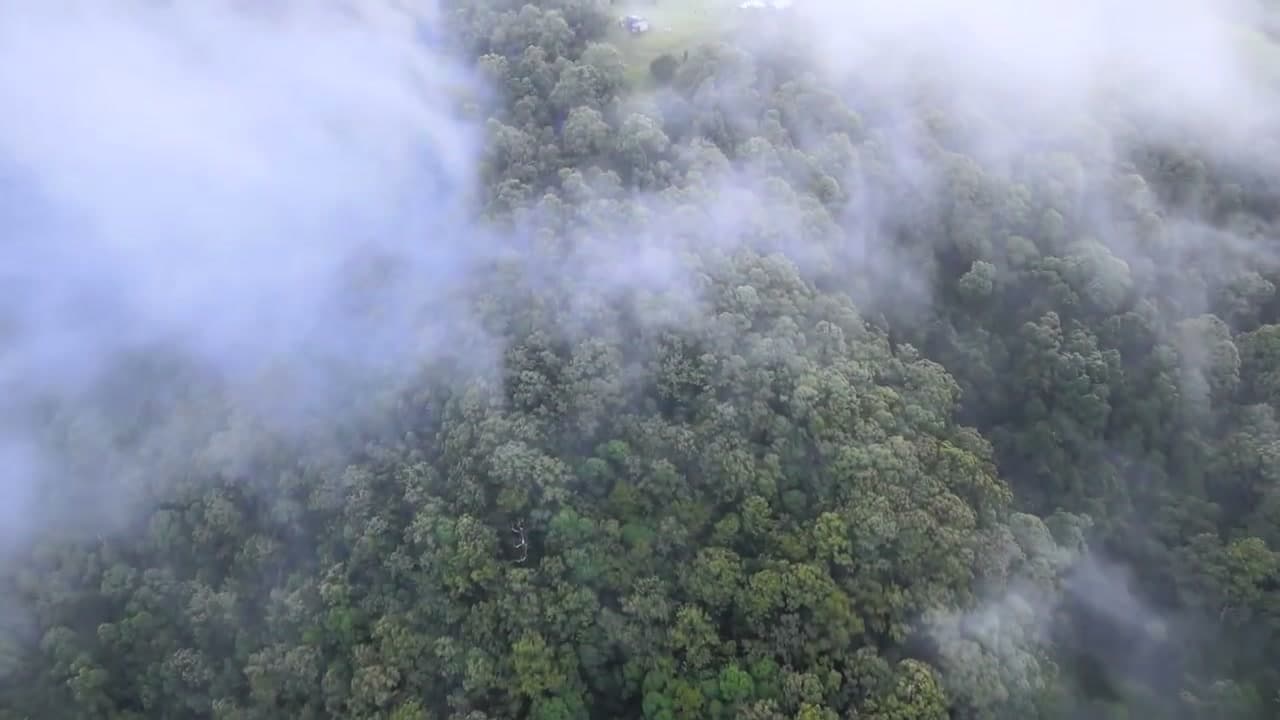 Black Cockatoo Valley farm from the air