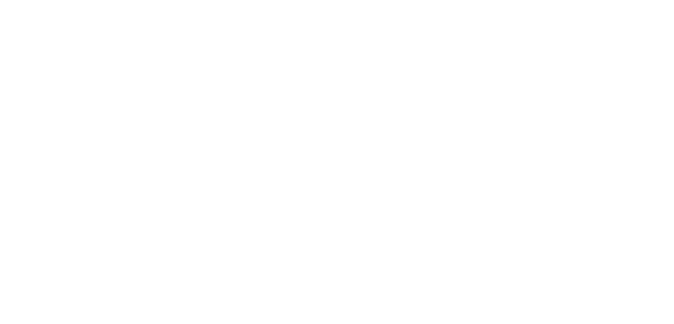 The Snow Foundation