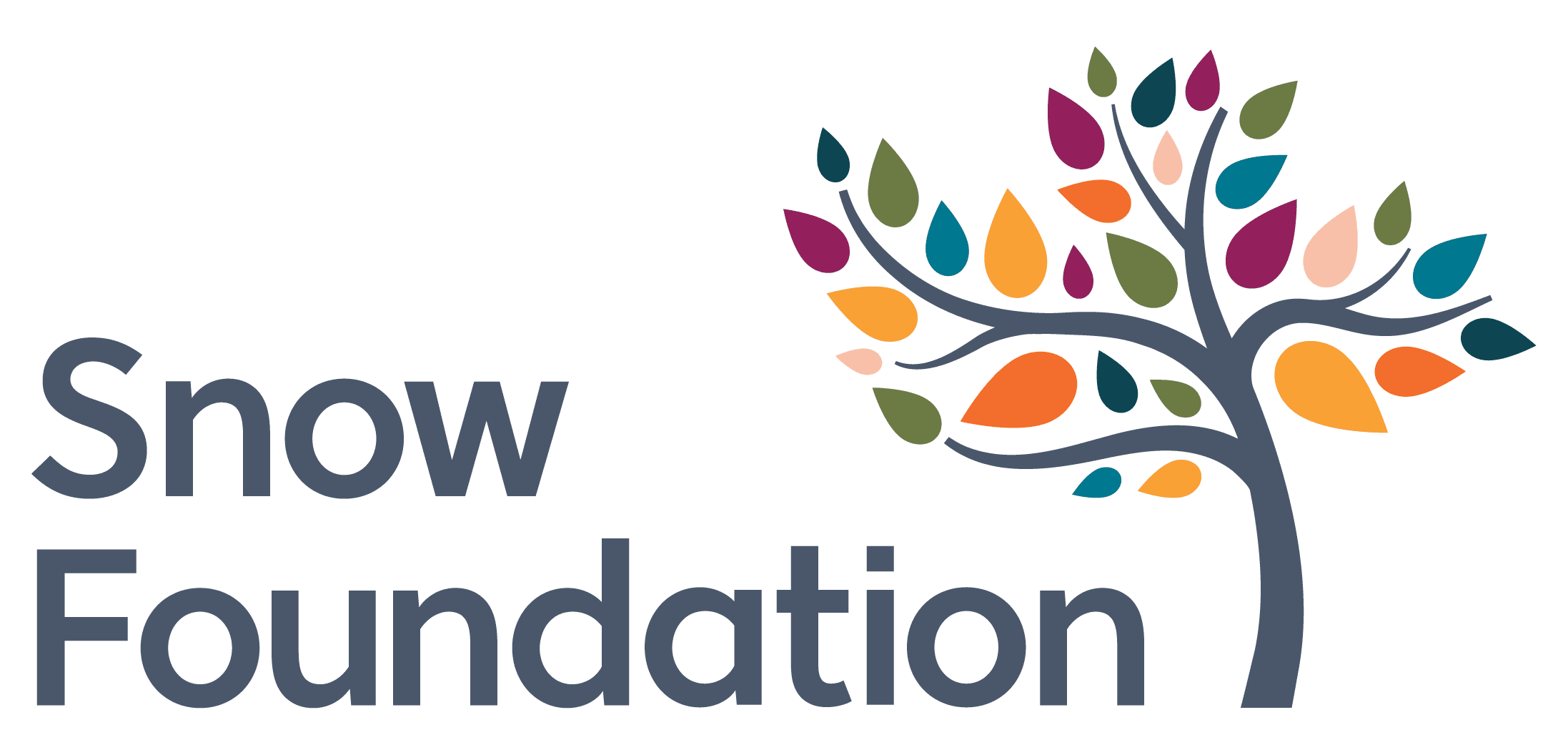 Snow Foundation